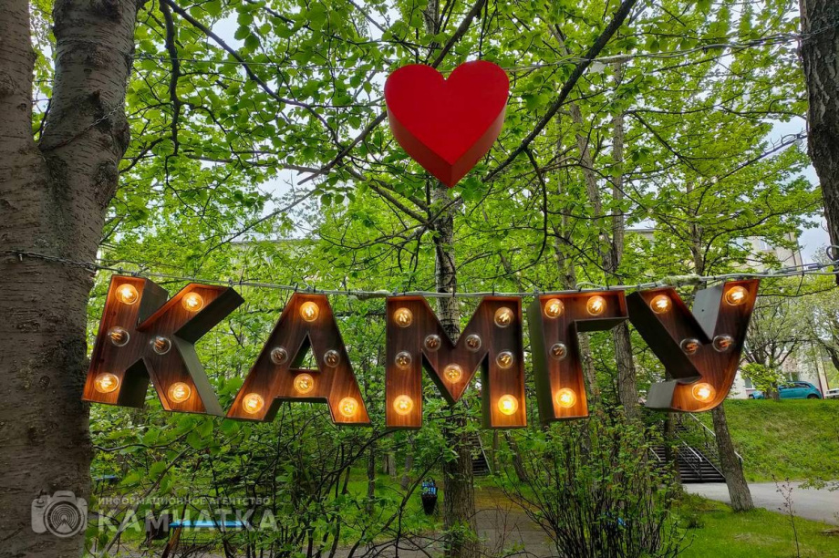 Приём документов на бюджетные места завершается в КамГУ имени Витуса Беринга. Фото: Олеся Сурина