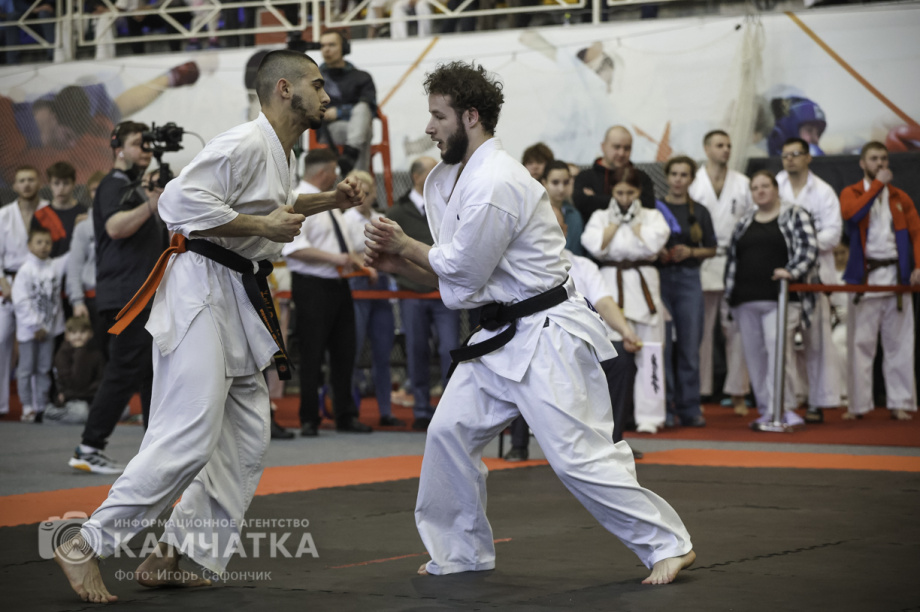 На Камчатке состоялся Чемпионат и первенство ДФО по каратэ-киокусинкай (фоторепортаж). Фото: «Камчатка Сегодня» \ Игорь Сафончик. Фотография 74