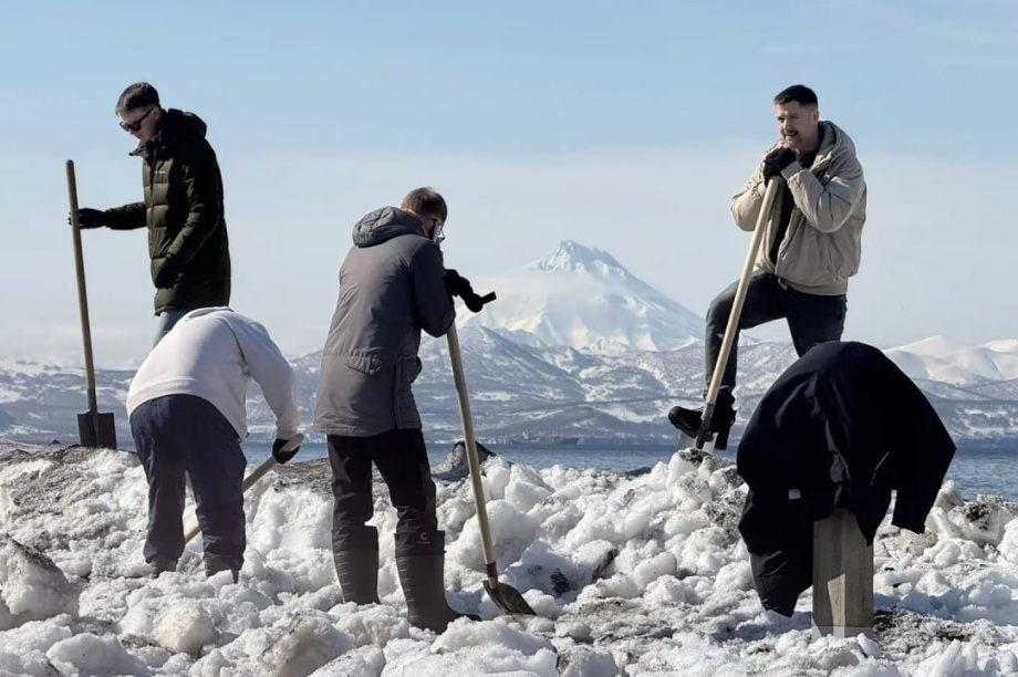 Камчатцы выйдут на субботник, чтобы сделать город чище. 
