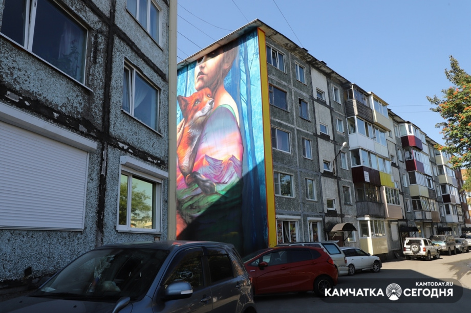 Голосование за лучшие граффити начнётся 13 сентября в Петропавловске. Фото: Виктор Гуменюк / информационное агентство "Камчатка". Фотография 10
