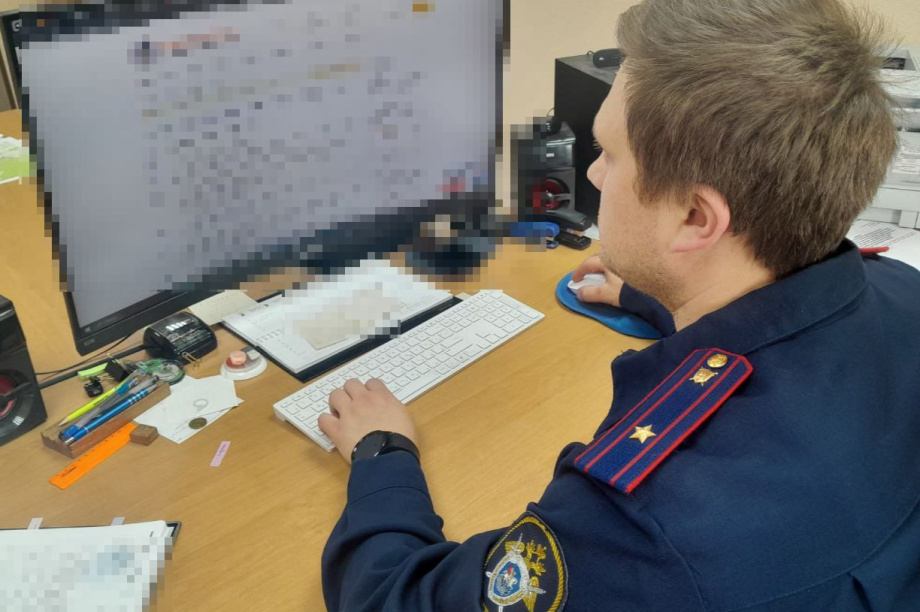 В Вилючинске СКР ищет ответственных за нападение бродячих псов на мальчика. Фото: СУ СК России по Камчатскому краю