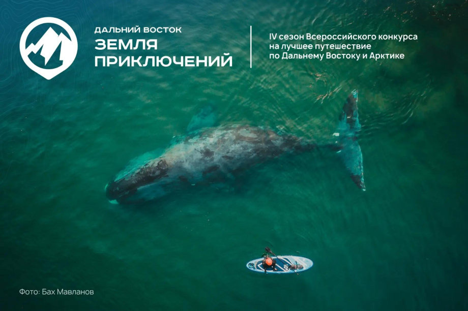 О Камчатке сняли 37 фильмов для конкурса «Дальний Восток – Земля приключений». . Фотография 1