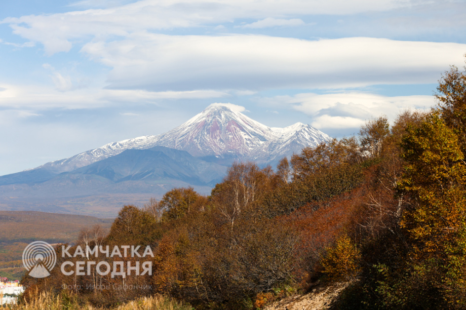 Осенняя прогулка по сопке Мишенная (фоторепортаж). Фото: «Камчатка Сегодня» \ Игорь Сафончик. Фотография 17