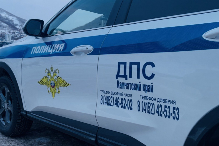 Любительница скорости спровоцировала массовое ДТП в столице Камчатки. Фото: Госавтоинспекция Камчатского края