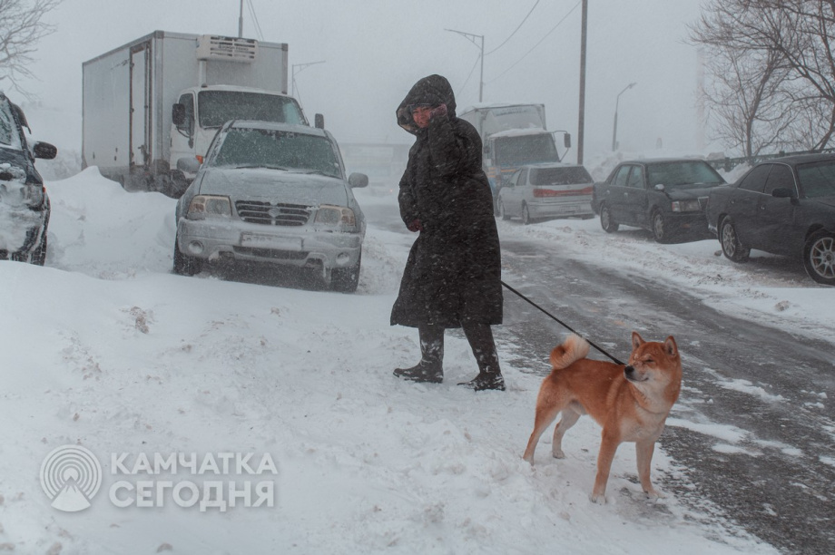 Белая стихия Камчатки (фоторепортаж). Фото: ИА «Камчатка». Фотография 32