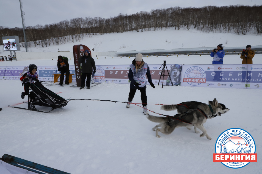 На Камчатке стартовала детская гонка на собачьих упряжках «Дюлин-2021». Фото: Виктор Гуменюк. Фотография 20