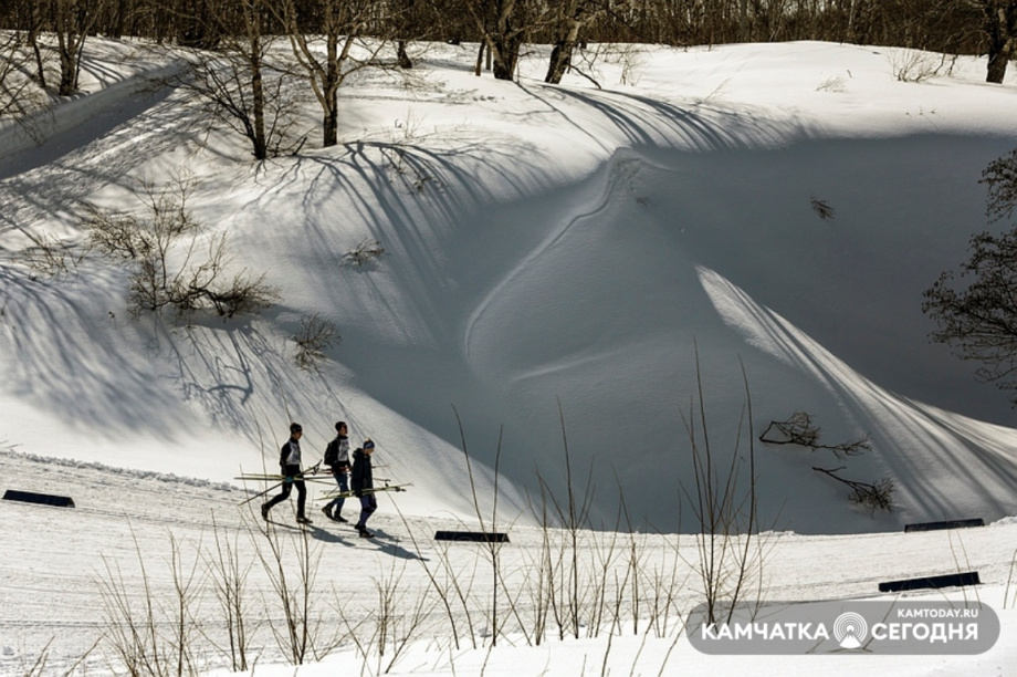 Трассы «Лыжни здоровья» будут готовить для спортсменов. Фото: Виктор Гуменюк / информационное агентство "Камчатка"