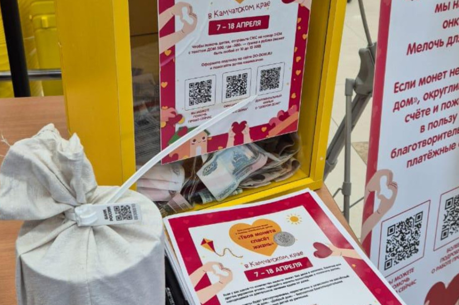 Камчатцы объединилась ради спасения онкобольных детей. Фото организаторов. Фотография 1