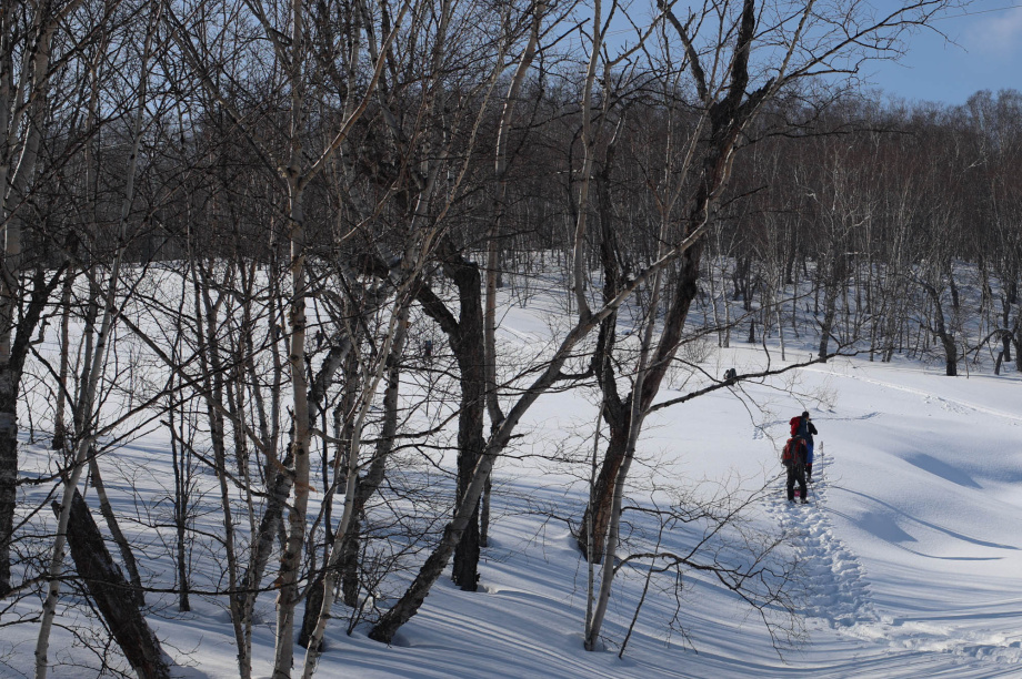 Лыжный поход в честь 8 Марта от турклуба «Медведь». Фото: «Камчатка Сегодня» \ Игорь Сафончик. Фотография 11