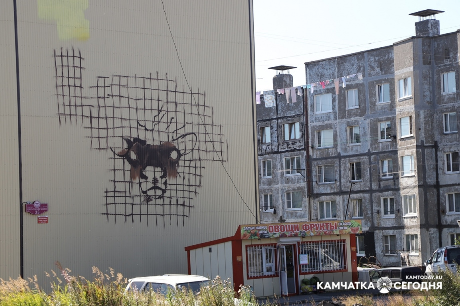 Голосование за лучшие граффити начнётся 13 сентября в Петропавловске. Фото: Виктор Гуменюк / информационное агентство "Камчатка". Фотография 11