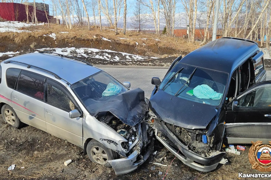В ДТП на Камчатке пострадала женщина-водитель. Фото: Госавтоинспекция Камчатского края