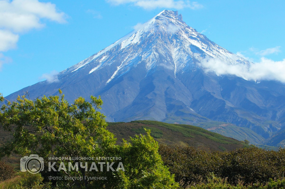 Камчатские лесники встретились с юными экологами. Фото: Виктор Гуменюк