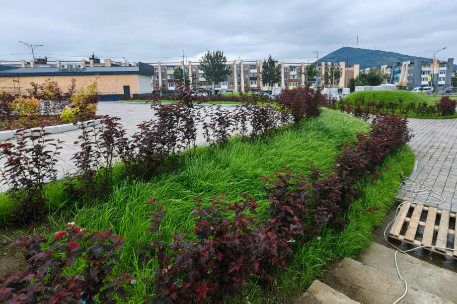 Строительство сквера на Войцешека в Петропавловске проинспектировала комиссия. Фото: Евгения Медведева. Фотография 3