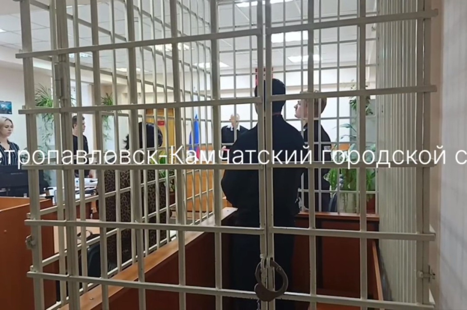 Камчатского насильника отправят за решетку на 16 лет. Фото: скрин с видео городского суда