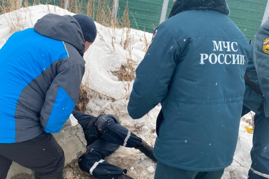 На Камчатке спасли собаку, провалившуюся под бетонную плиту. Фото: пресс-служба ГУ МЧС России по Камчатскому краю. Фотография 4