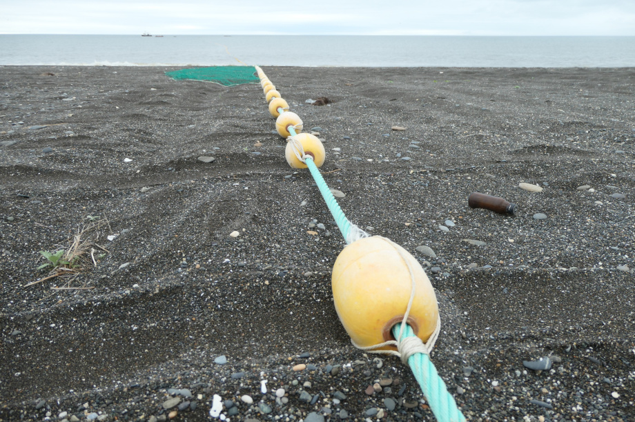 «Это будет серьезный вклад в развитие региона». ИА «Камчатка» / Кирилл Маренин