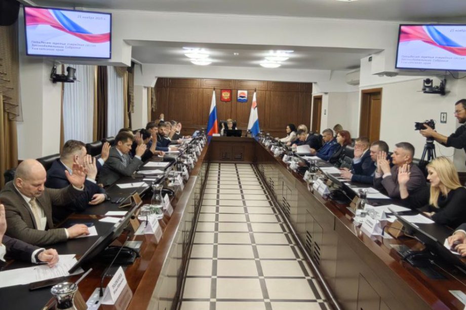 Камчатка направит более 60 млрд рублей на соцсферу в 2026 году. Фото: Заксобрание Камчатского края