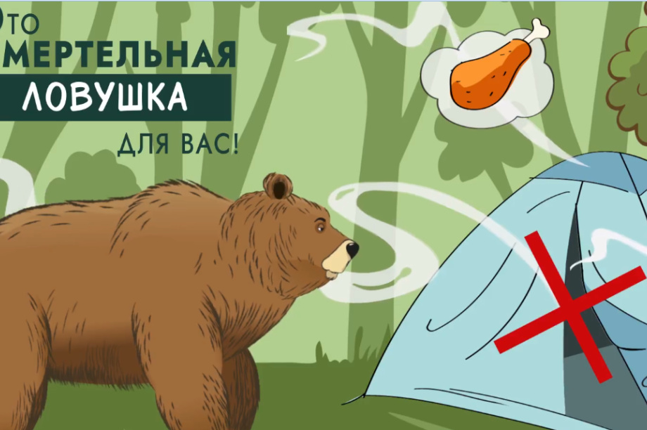 Мультик про медведей научит камчатцев не кормить хищников и не бегать при встрече. Фото: Кроноцкий заповедник, скриншот