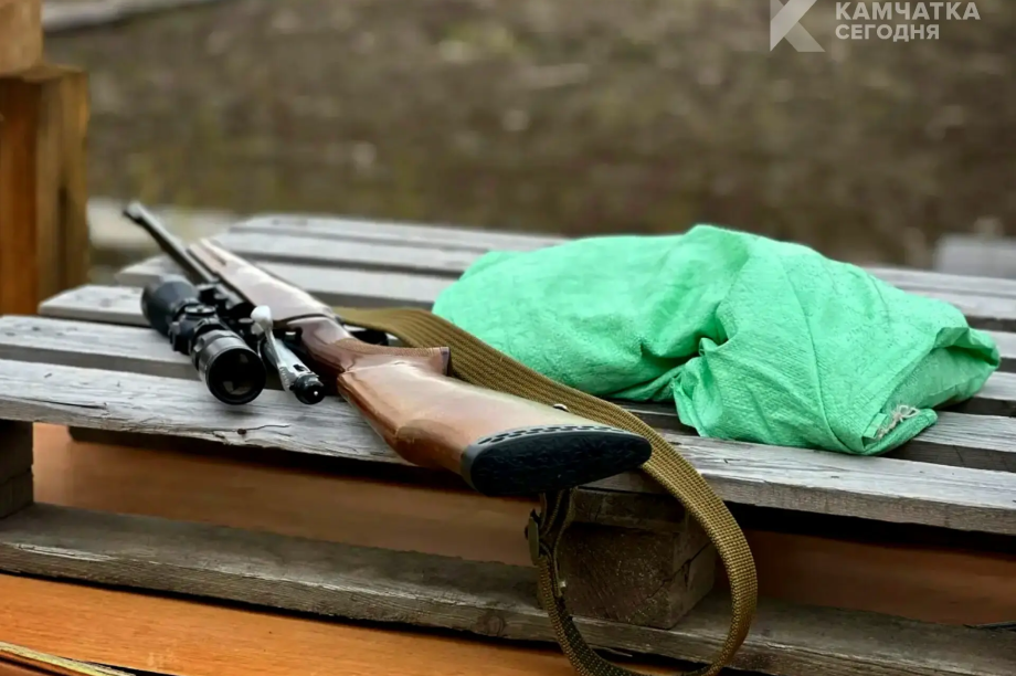 Весенний сезон охоты в Усть-Камчатском округе начнётся в мае. 