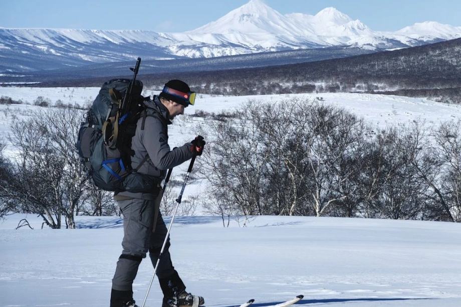 В Кроноцком заповеднике росомах стало больше, а зайцев — в 50 раз меньше. Фото: Дмитрий Балакирев, Евгения Волкова, Дмитрий Западалов. Фотография 5