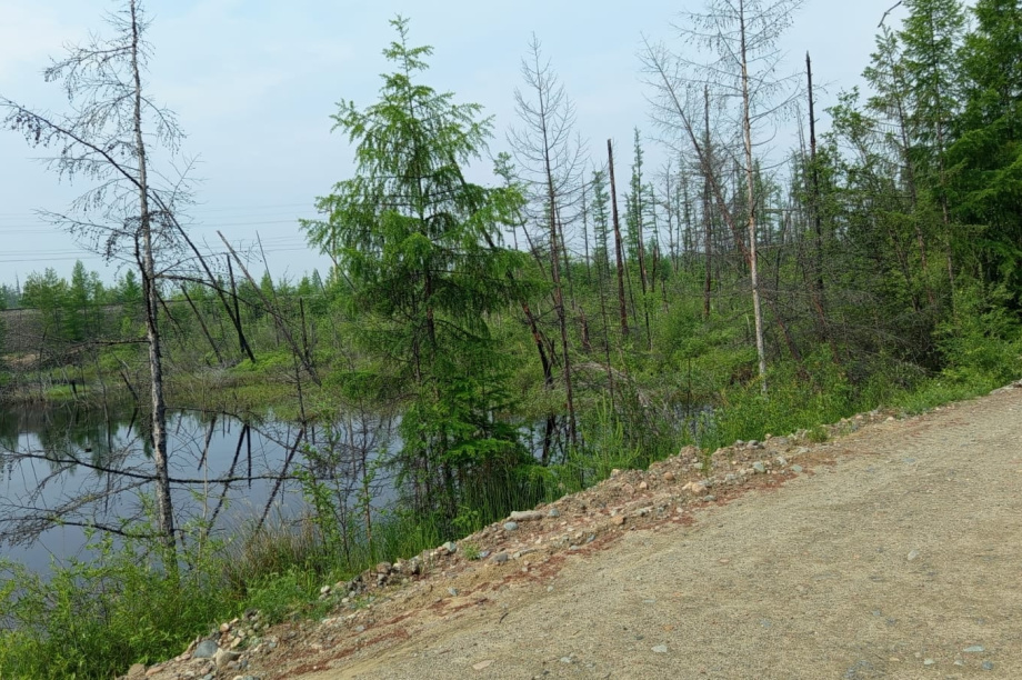 Мотопутешествие словака через всю Россию с остановкой на Камчатке. . Фотография 14