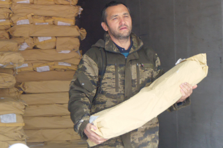 Для питомников ездовых собак на Камчатке, было заготовлено около 70 тонн рыбных голов. Фото: kamgov.ru. Фотография 1