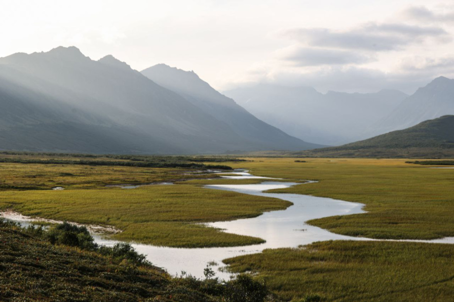 Экспедиция в на север Камчатки — уникальные впечатления и открытия Анатолия Чернявского. Фото: Анатолий Чернявский. Фотография 4