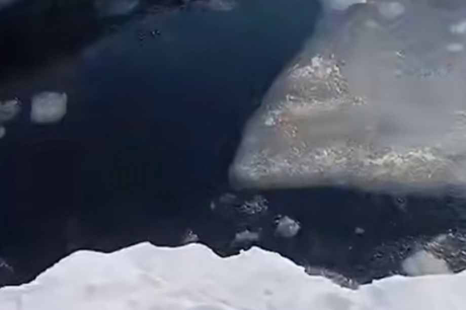 Сахалинские рыбаки дрейфуют на льдине. Фото: скрин видео из социальных сетей. Фотография 4