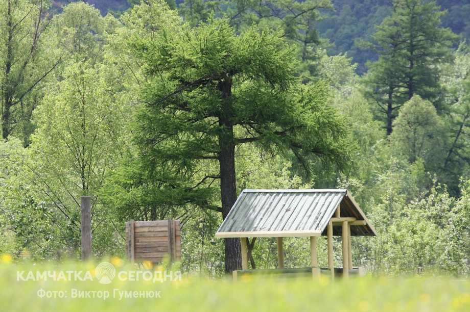День рождения села Анавгай на Камчатке. Фотоподборка. Фото: архив/Виктор Гуменюк. Фотография 40
