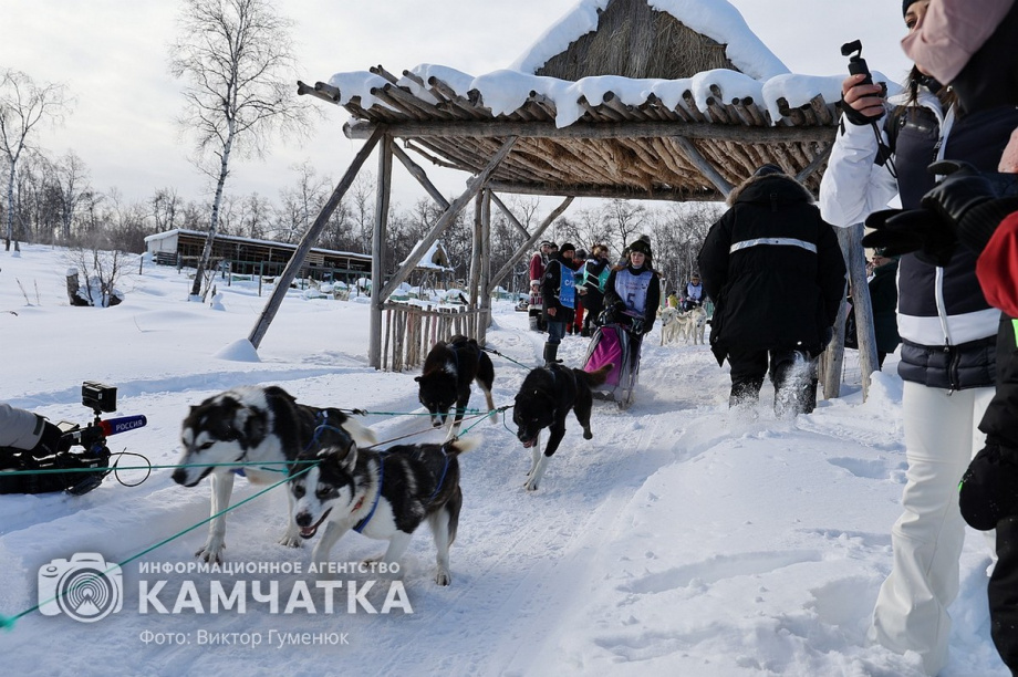 Гонка на собачьих упряжках «Хальч Тхсаном». Фоторепортаж  . Фото: Виктор Гуменюк. Фотография 22
