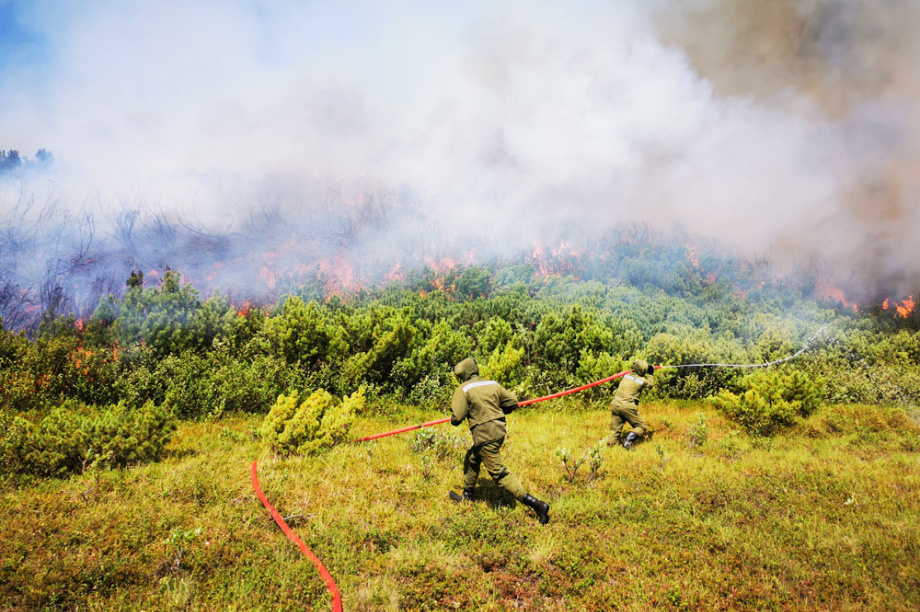 В Корякском заповеднике горели 32 тысячи гектаров леса. Фото: Максим Запорожец. Фотография 11