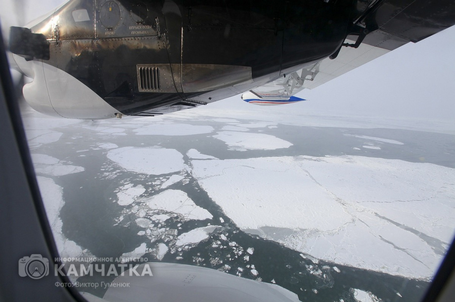 Камчатка отмечает День Воздушного флота России. . Фотография 73