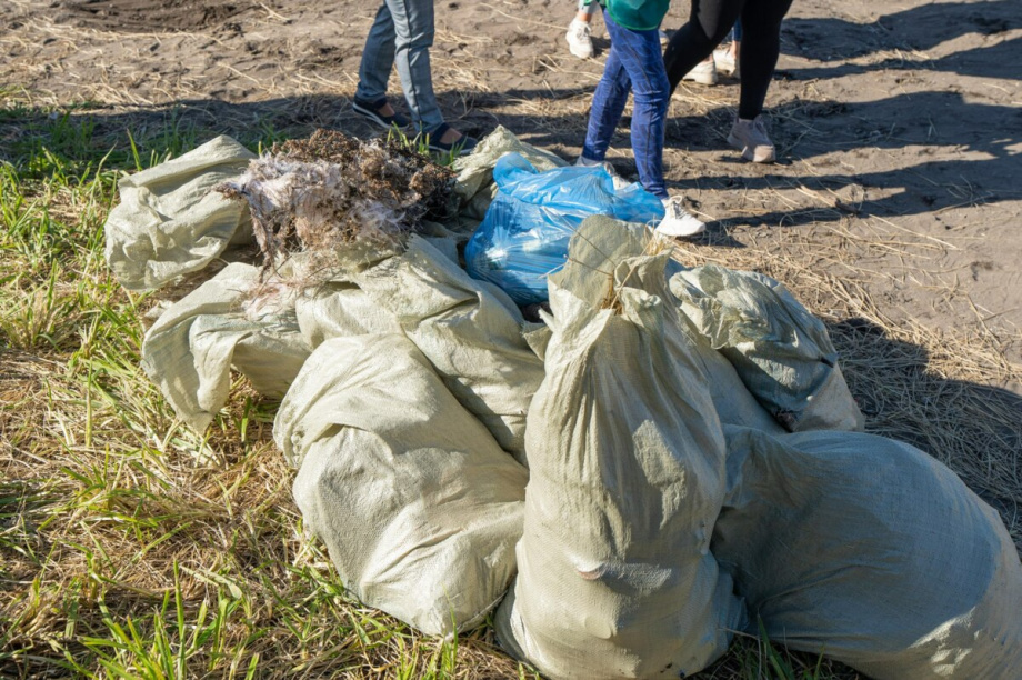 Волонтеры собрали мусор на пляже Сероглазка в Петропавловске-Камчатском. . Фотография 2