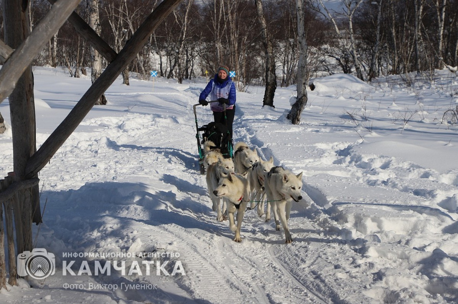 Гонка на собачьих упряжках «Хальч Тхсаном». Фоторепортаж  . Фото: Виктор Гуменюк. Фотография 74