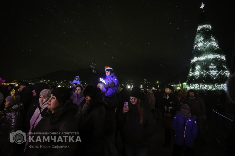 Новогодняя ночь в Петропавловске-Камчатском (фоторепортаж). . Фотография 66