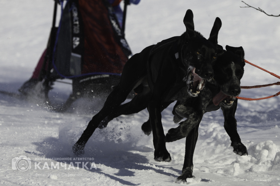 «Елизовский спринт» — 15 лет традиций и азарта!. Фото: «Камчатка Сегодня» \ Игорь Сафончик. Фотография 5