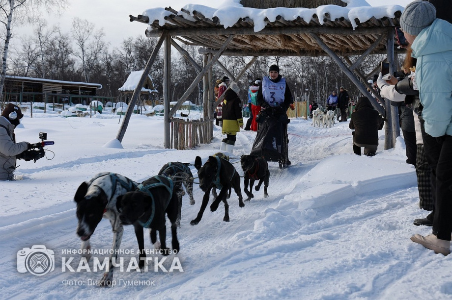 Гонка на собачьих упряжках «Хальч Тхсаном». Фоторепортаж  . Фото: Виктор Гуменюк. Фотография 17
