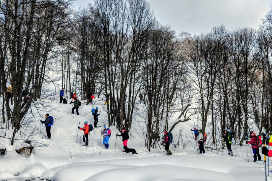 Активный отдых на Камчатке немыслим без лыжных походов . Фото: ТГ-канал турклуба «Медведь». Фотография 4