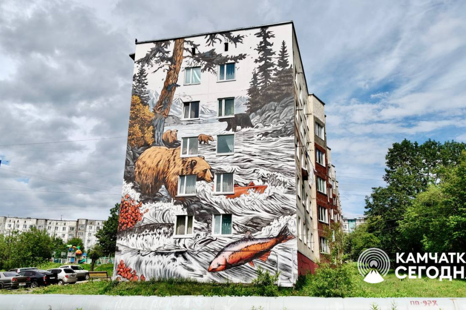 Первые четыре мурала появились в Петропавловске-Камчатском. Фото: ИА "Камчатка". Фотография 2