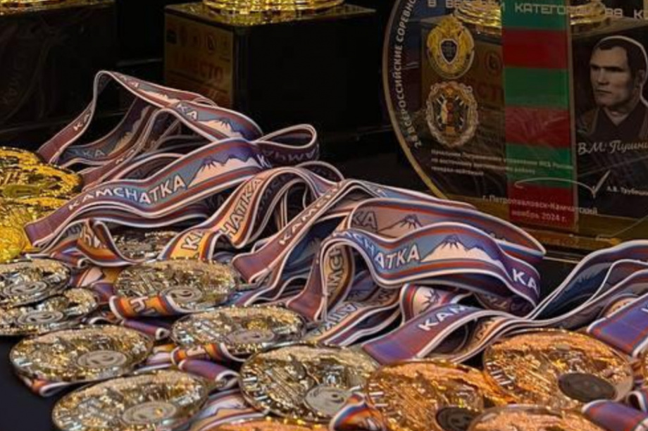 Подведены итоги Всероссийского турнира по самбо: 9 золотых медалей у Камчатки. Фото: Министерство спорта Камчатского края. Фотография 2