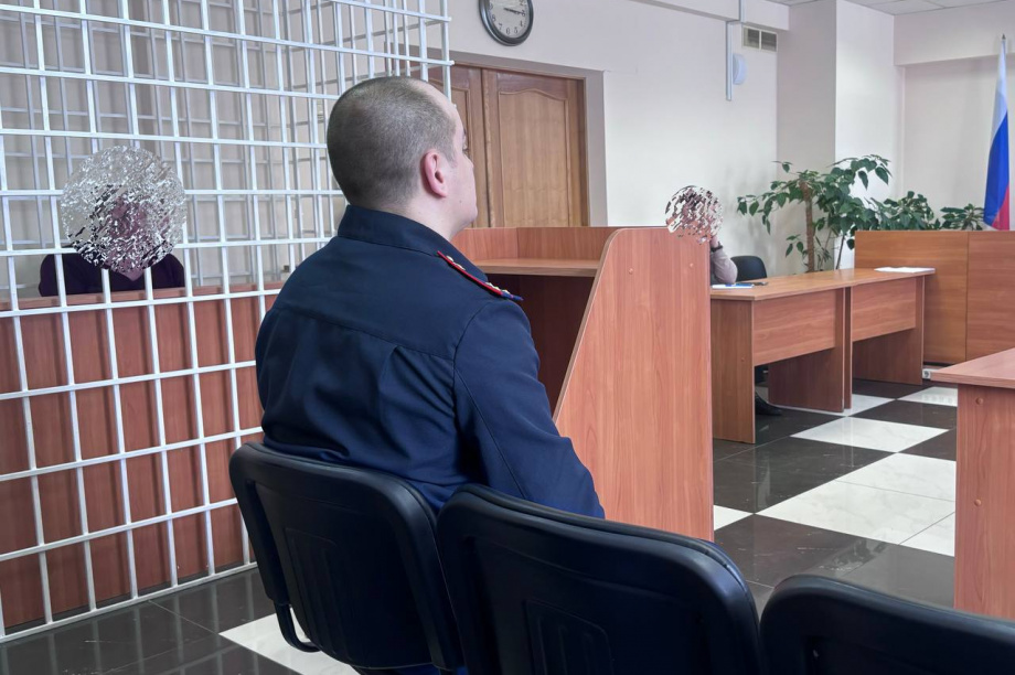 Житель Камчатки едва не убил товарища обухом топора по голове. Фото: СУ СК России по Камчатскому краю