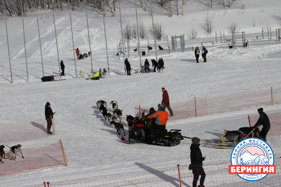 «Берингия-2021». Фото: Виктор Гуменюк. Фотография 108