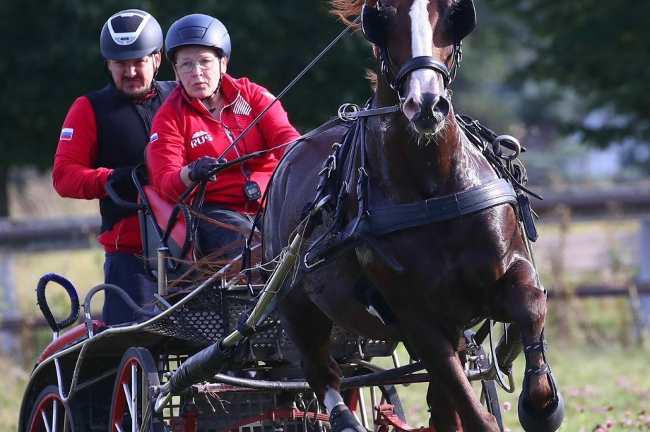 Камчатская наездница Софья Морозова завоевала бронзу чемпионата России по драйвингу. Фото: Федерация конного спорта России. Фотография 11