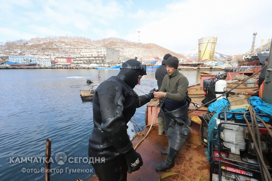 День водолаза. Фотоподборка. фото: Виктор Гуменюк/архив. Фотография 23