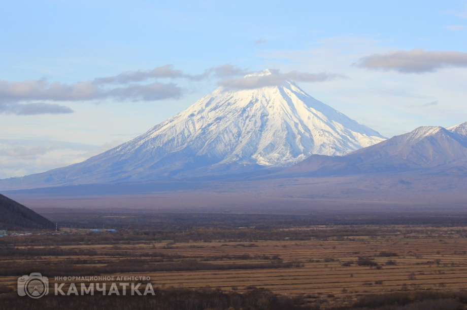Деньги вместо земельного участка на Камчатке получили 43 многодетные семьи. Фото: Олеся Сурина