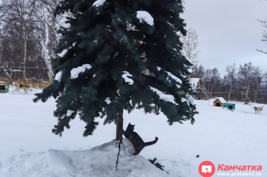 Чемпионы Левковские готовятся к «Берингии». Фото: Виктор Гуменюк. Фотография 2