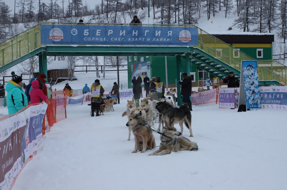 «Берингия-2021»: курс на Оссору. Фото: Виктор Гуменюк. Фотография 16