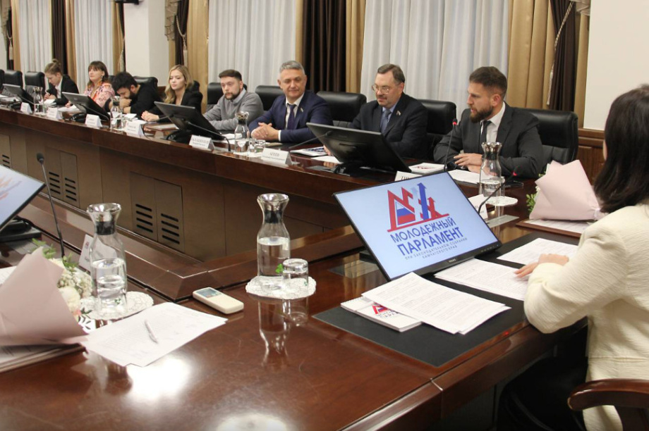 Депутаты Молодежного парламента Камчатки подвели итоги года. Фото: Заксобрание Камчатского края. Фотография 2