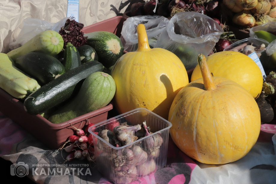 Рост заболеваемости иерсиниозом зафиксирован в Петропавловске и Елизове. Фото: Виктор Гуменюк