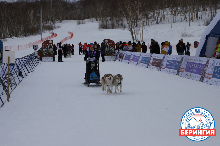 На Камчатке стартовала детская гонка на собачьих упряжках «Дюлин-2021». Фото: Виктор Гуменюк. Фотография 32